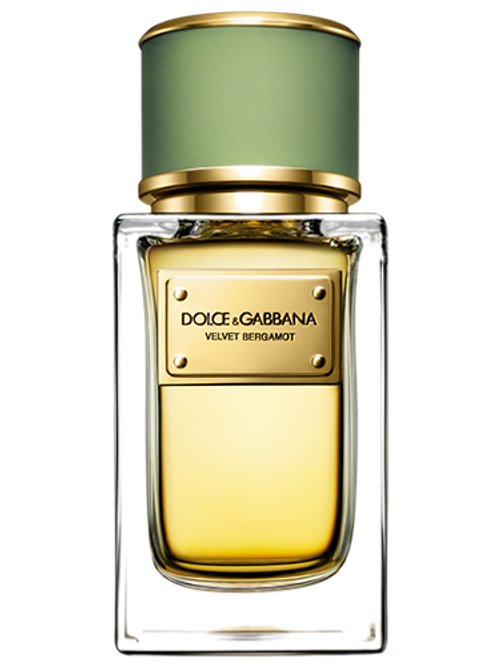 VELVET BERGAMOT perfume by Dolce & Gabbana – Wikiparfum